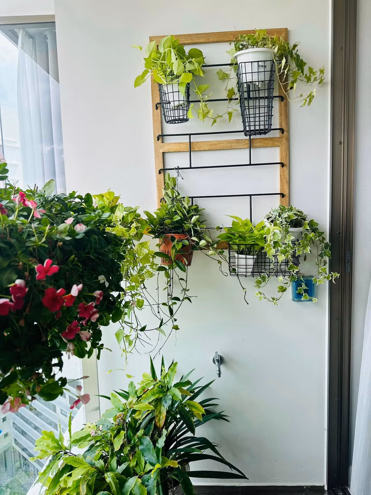 Là người yêu thiên nhiên nên MC Đại Nghĩa trồng nhiều cây trong biệt thự.