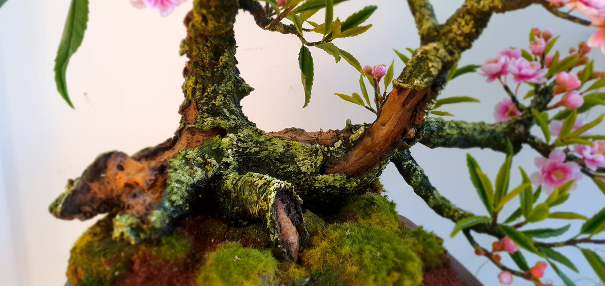 Mỗi chậu bonsai có giá từ 350.000 đồng – 1 triệu đồng, tuỳ thuộc vào chiều cao và độ phức tạp của cây. Ảnh: Facebook