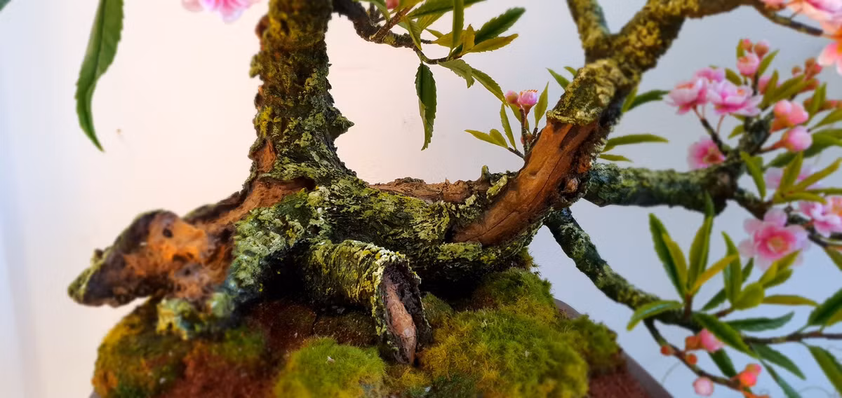 Mỗi chậu bonsai có giá từ 350.000 đồng – 1 triệu đồng, tuỳ thuộc vào chiều cao và độ phức tạp của cây. Ảnh: Facebook