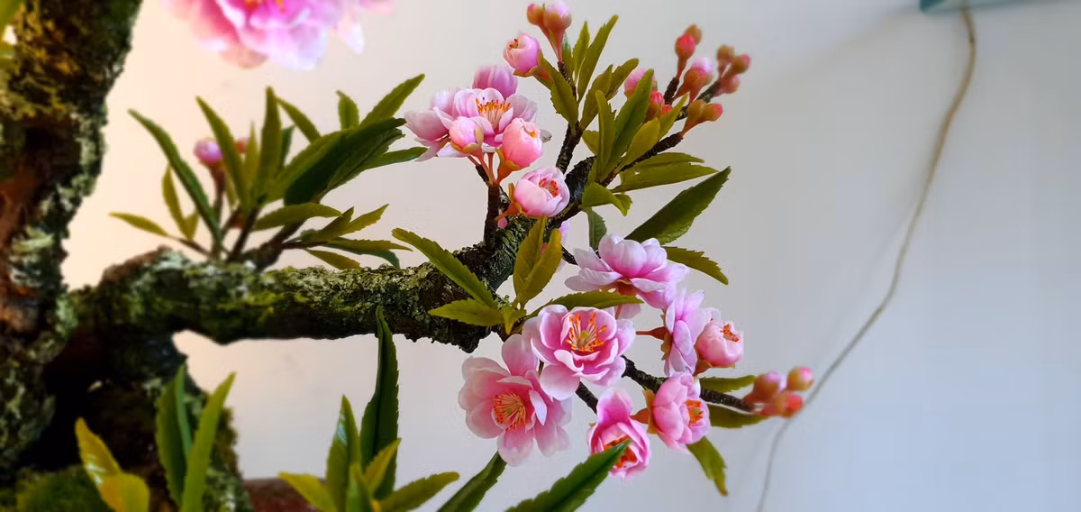 Người bán cho biết, sản phẩm cứ có đến đâu là khách mua hết đến đó. Ảnh: Facebook