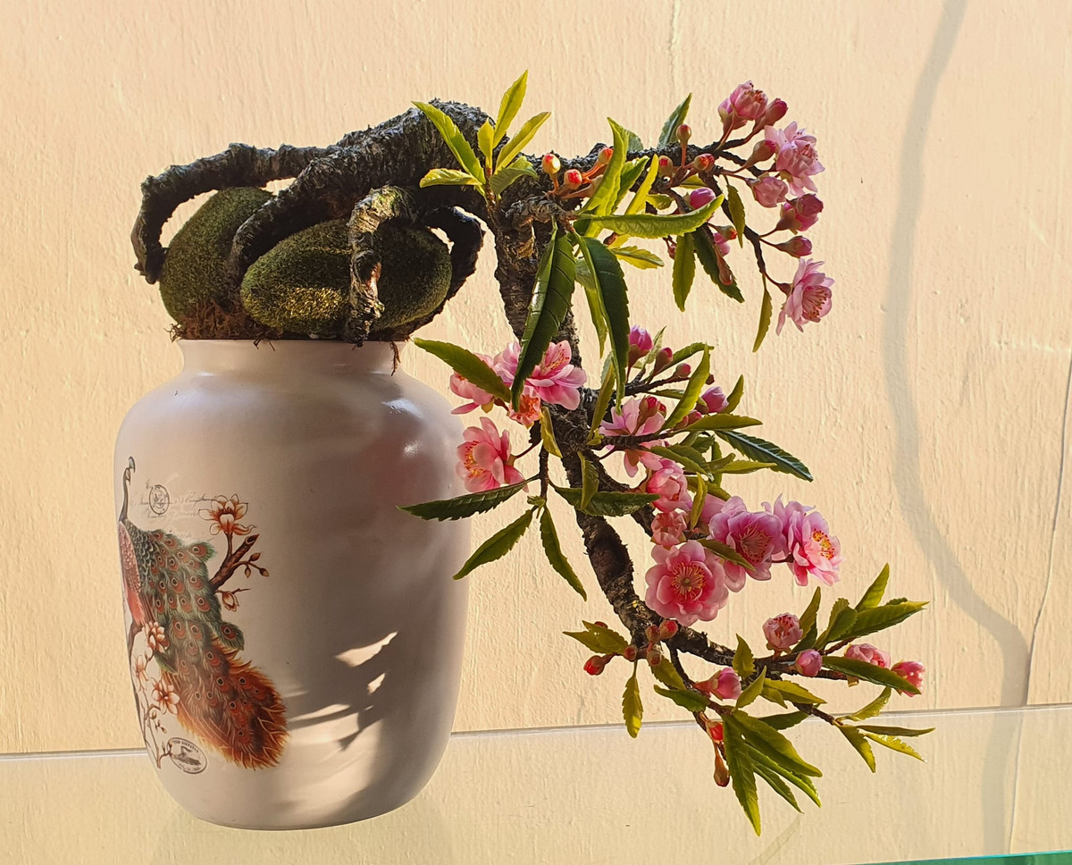 Đào bonsai dáng phong trần đẹp mê mẩn. Ảnh: Facebook