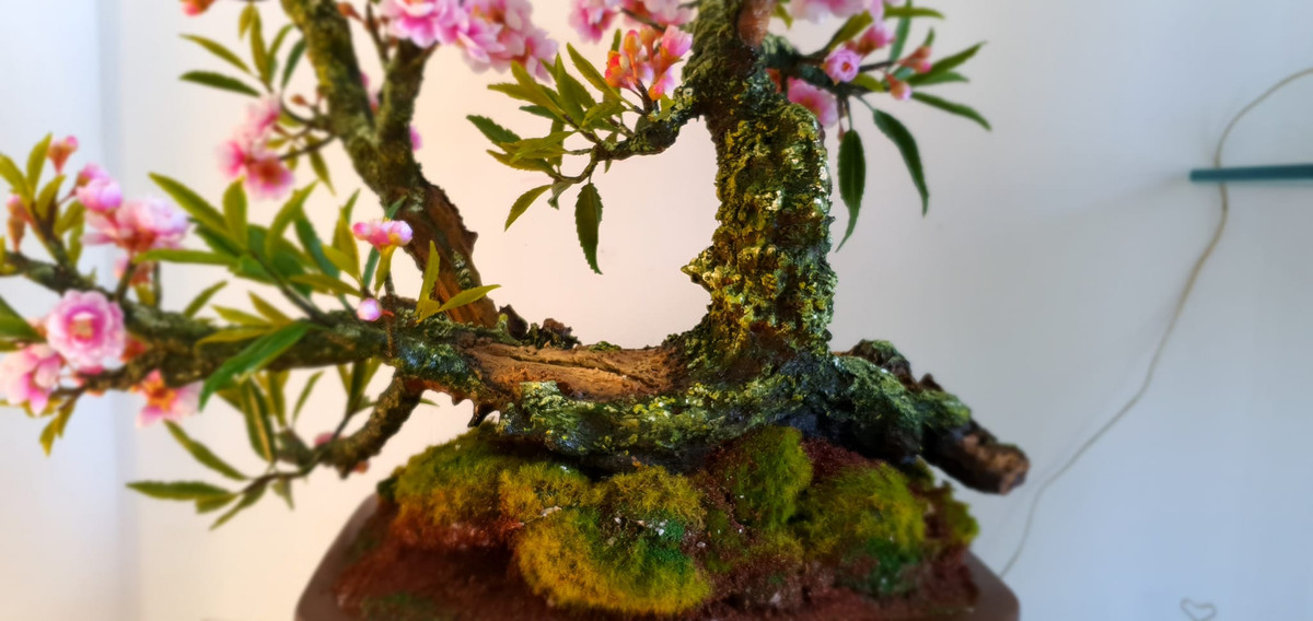 Hầu hết những chậu bonsai đất sét được tạo hình cây mai, cây đào, cây hoa sứ... Ảnh: Facebook