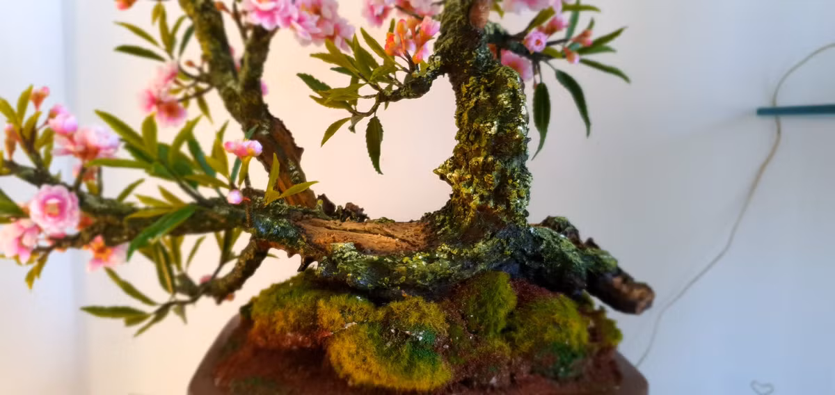 Hầu hết những chậu bonsai đất sét được tạo hình cây mai, cây đào, cây hoa sứ... Ảnh: Facebook