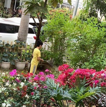 Vì thế, dù ở giữa phố, ngôi nhà của Thân Thuý Hà vẫn luôn tràn ngập cây xanh và hoa tươi, hoà hợp với thiên nhiên.