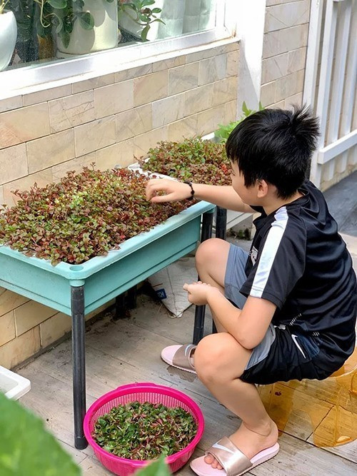 Thân Thuý Hà cho biết, cách bố trí như thế sẽ tạo không gian cho các con vui chơi.