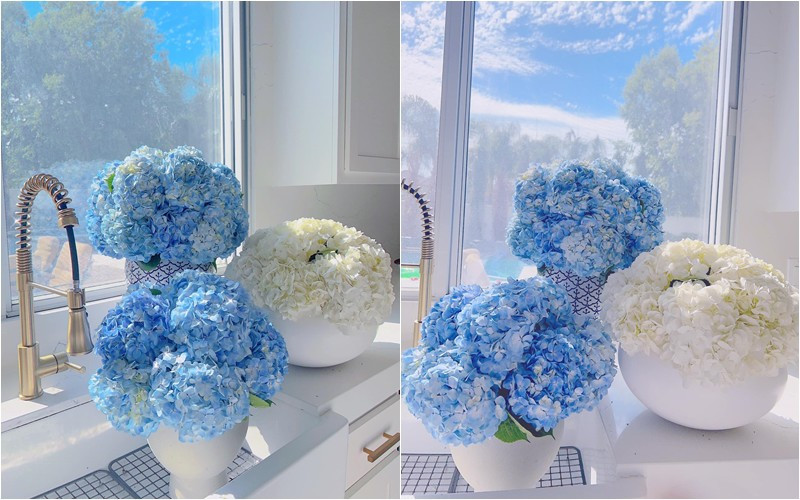 Nàng hậu chia sẻ hình ảnh những lọ hoa cẩm tú cầu xinh đẹp bên cửa sổ.