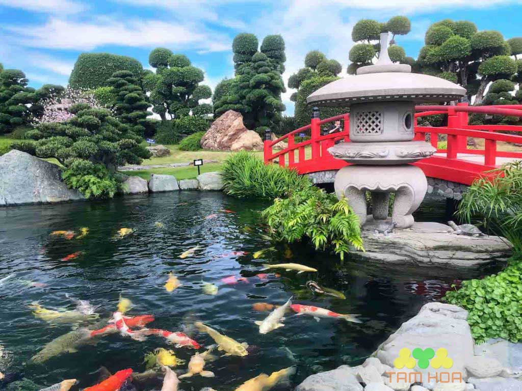 Để thoả mãn thú vui tao nhã này, nhiều đại gia sẵn sàng ra hàng tỷ đồng để mua về đàn cá Koi Nhật Bản thuần chủng, thậm chí còn không ngại chi "đậm" để xây nhà cho cá Koi. Ảnh: Sân vườn Tam Hoa