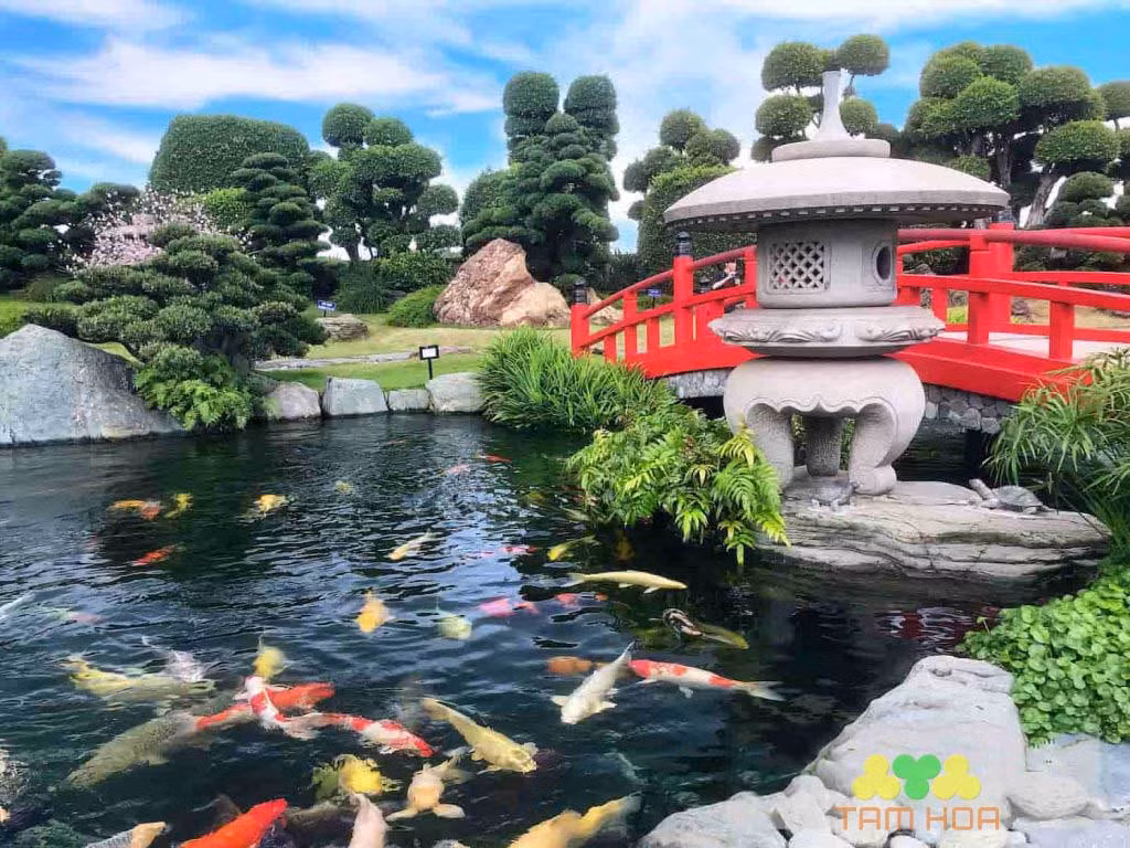 Để thoả mãn thú vui tao nhã này, nhiều đại gia sẵn sàng ra hàng tỷ đồng để mua về đàn cá Koi Nhật Bản thuần chủng, thậm chí còn không ngại chi "đậm" để xây nhà cho cá Koi. Ảnh: Sân vườn Tam Hoa
