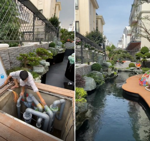 Chiêm ngưỡng quá trình hoàn thiện hồ cá Koi tại gia, dân tình không khỏi nể phục trước độ chịu chi của vị đại gia. Ảnh: TikTok Dũng Landscape Designer