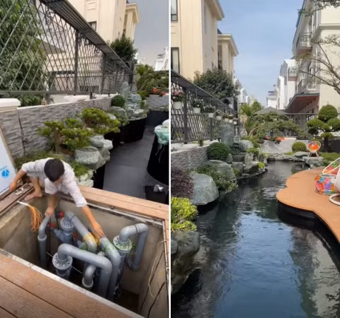 Chiêm ngưỡng quá trình hoàn thiện hồ cá Koi tại gia, dân tình không khỏi nể phục trước độ chịu chi của vị đại gia. Ảnh: TikTok Dũng Landscape Designer