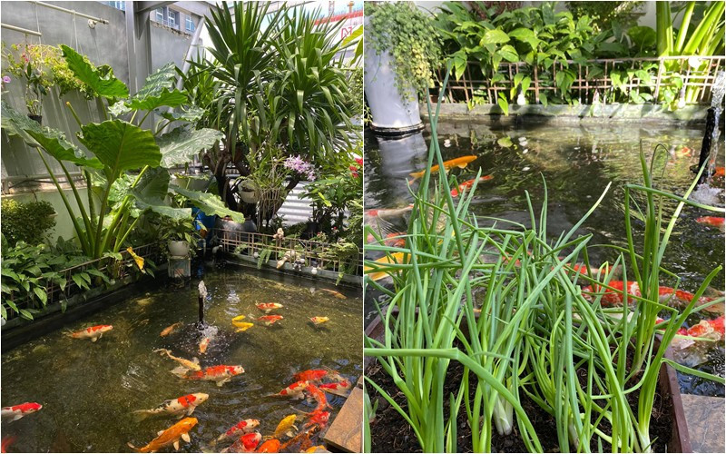 Mẹ chồng cũ Diệp Lâm Anh cũng từng hé lộ không gian sống ngập tràn hơi thở thiên nhiên. Ảnh: FBNV