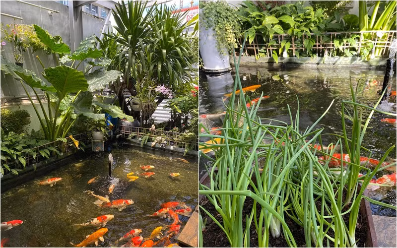 Mẹ chồng cũ Diệp Lâm Anh cũng từng hé lộ không gian sống ngập tràn hơi thở thiên nhiên. Ảnh: FBNV