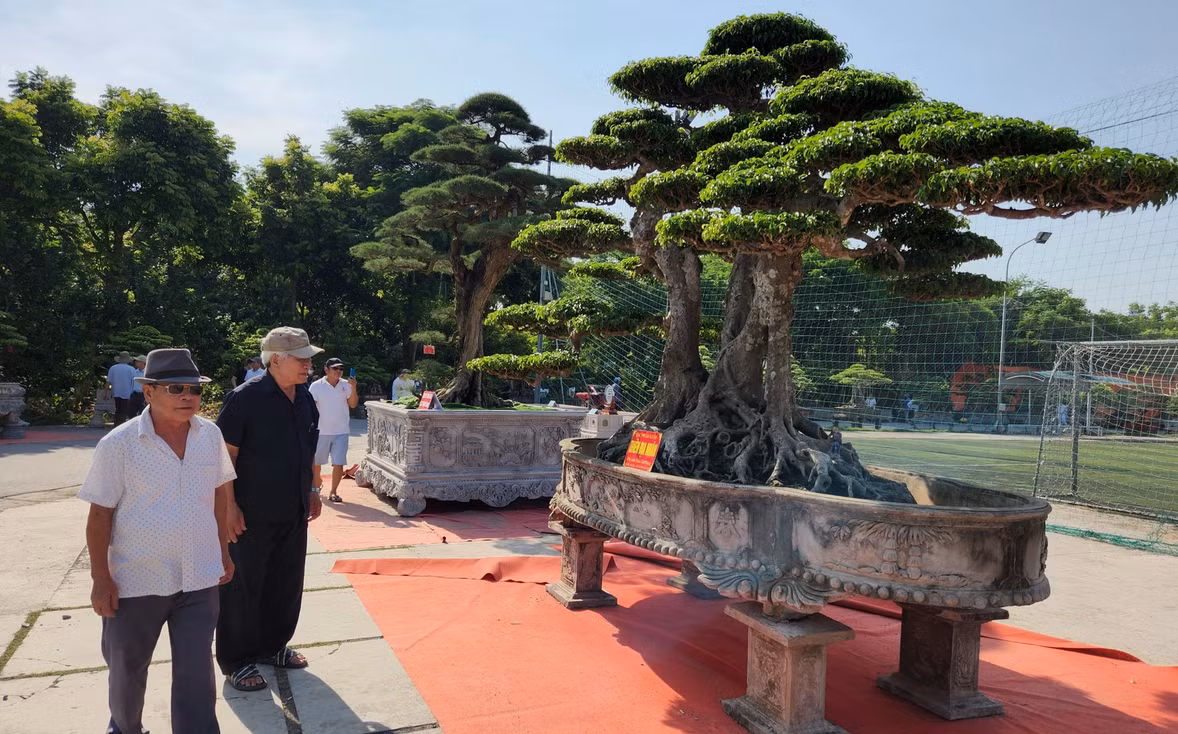 Nhiều cây cảnh như được nghệ nhân "thổi hồn", hội tụ tinh hoa nghệ thuật, tạo nên bức tranh muôn màu. Những tác phẩm tiêu biểu, đặc sắc, độc đáo, mang tính nghệ thuật đỉnh cao “Cổ, kỳ, mỹ, văn”. Ảnh: Dân trí