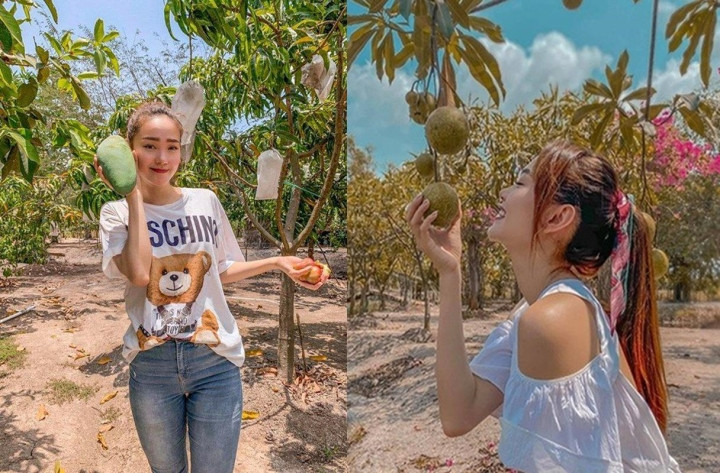 Chưa hết, nữ ca sĩ còn sở hữu mảnh vườn rộng 2 ha để trồng cây trái ở Nhơn Trạch (Đồng Nai). Ảnh chụp màn hình
