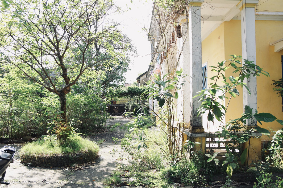 Phía mặt tiền cửa đóng chặt, cây cỏ mọc lên um tùm. Ảnh: Lao động