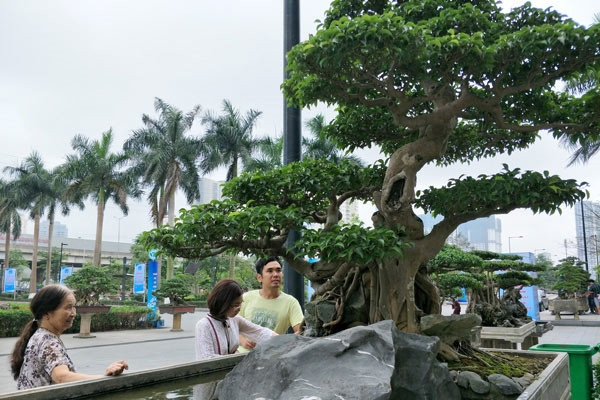 Cây được tạo tác vừa mang thân "huyền" biểu tượng dáng “nghinh phong”, vừa có thân hoành vươn ra tượng trưng cho dáng “chiếu thủy”. Ảnh: Dân Việt