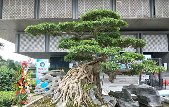 Tác phẩm "Nghinh phong" khiến nhiều người mê mẩn. Ảnh: Dân trí