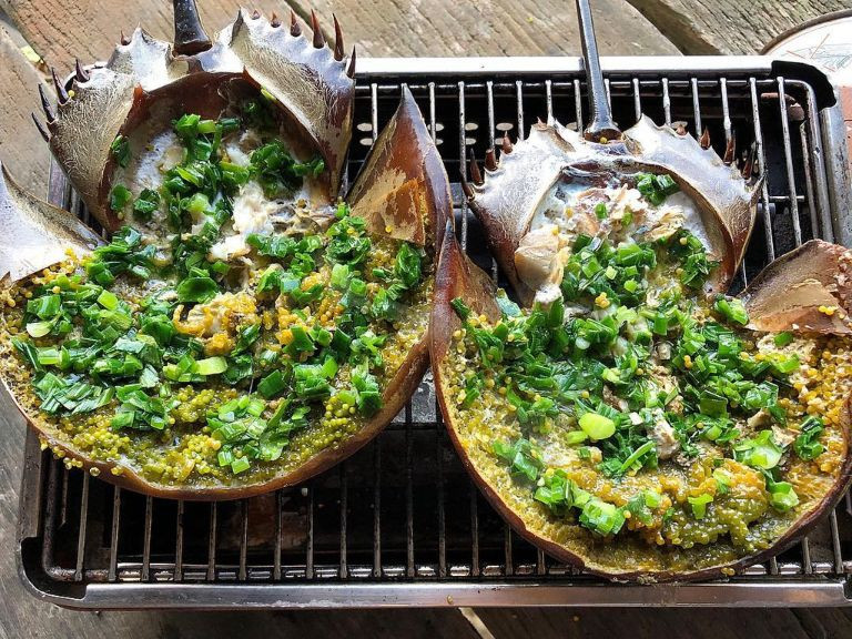 Bọ biển có thân hình nhìn khá ghê rợn song thịt ăn thơm ngon hơn cả thịt tôm hùm – loại tôm vốn được ví là vua hải sản. Ảnh: Internet