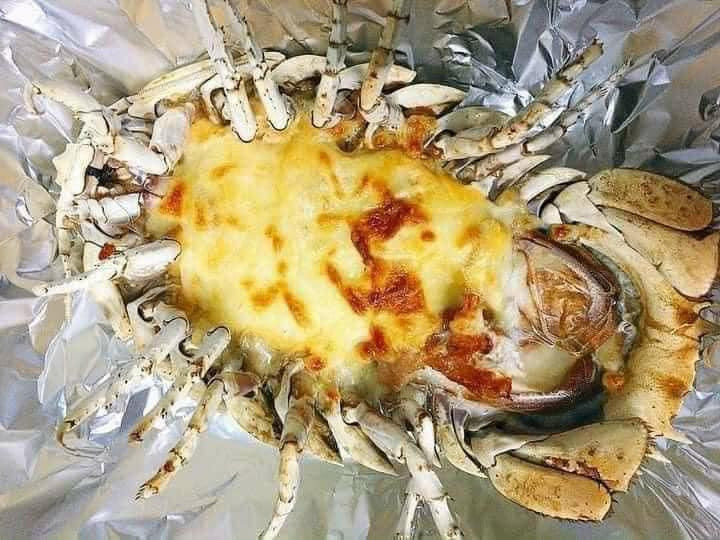 Bọ biển được đánh bắt hoàn toàn tự nhiên tại các vùng biển ở Khánh Hòa, Phú Yên, Quảng Ngãi... Bọ biển được xem là loài gần như quý hiếm nhất trong giới hải sản. Ảnh: Facebook