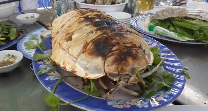 Không chỉ thơm ngon, bọ biển còn giàu giá trị dinh dưỡng nên giới nhà giàu đua nhau săn lùng để thưởng thức bất chấp giá cao ngất ngưởng. Ảnh: DulichVietnam