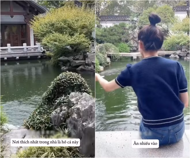 Hồ cá Koi là nơi Đào Hỷ Nhi thư giãn.