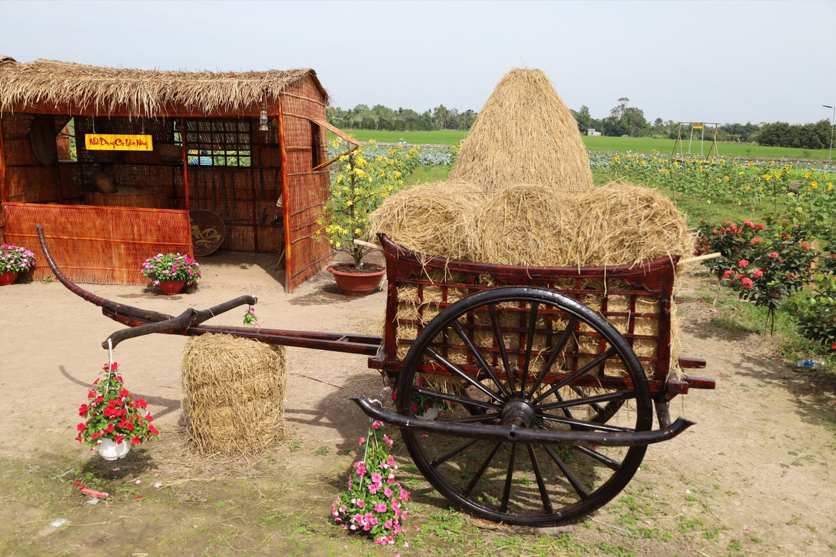 Được biết, ông Nguyễn Ngọc Lang đã chi hàng tỷ đồng để mở khu vui chơi hoàn toàn miễn phí này. Ảnh: TTXVN