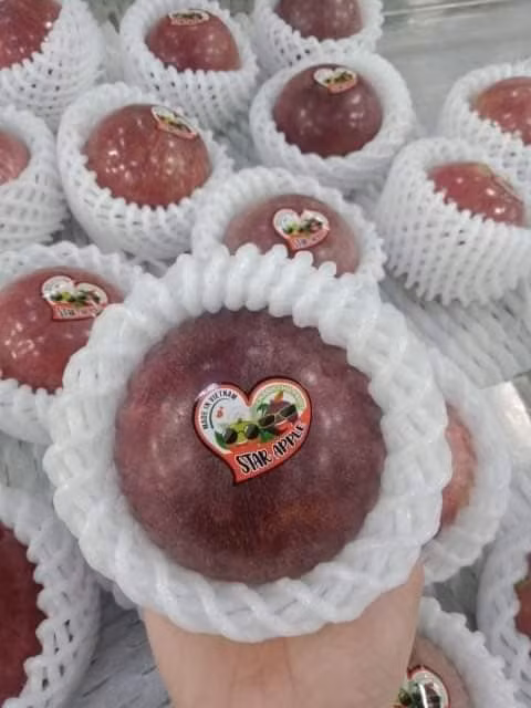 Ở trong nước, giá vú sữa Lò Rèn dao động trong khoảng 45.000 - 70.000 đồng/kg tùy nơi bán. Ảnh: Facebook