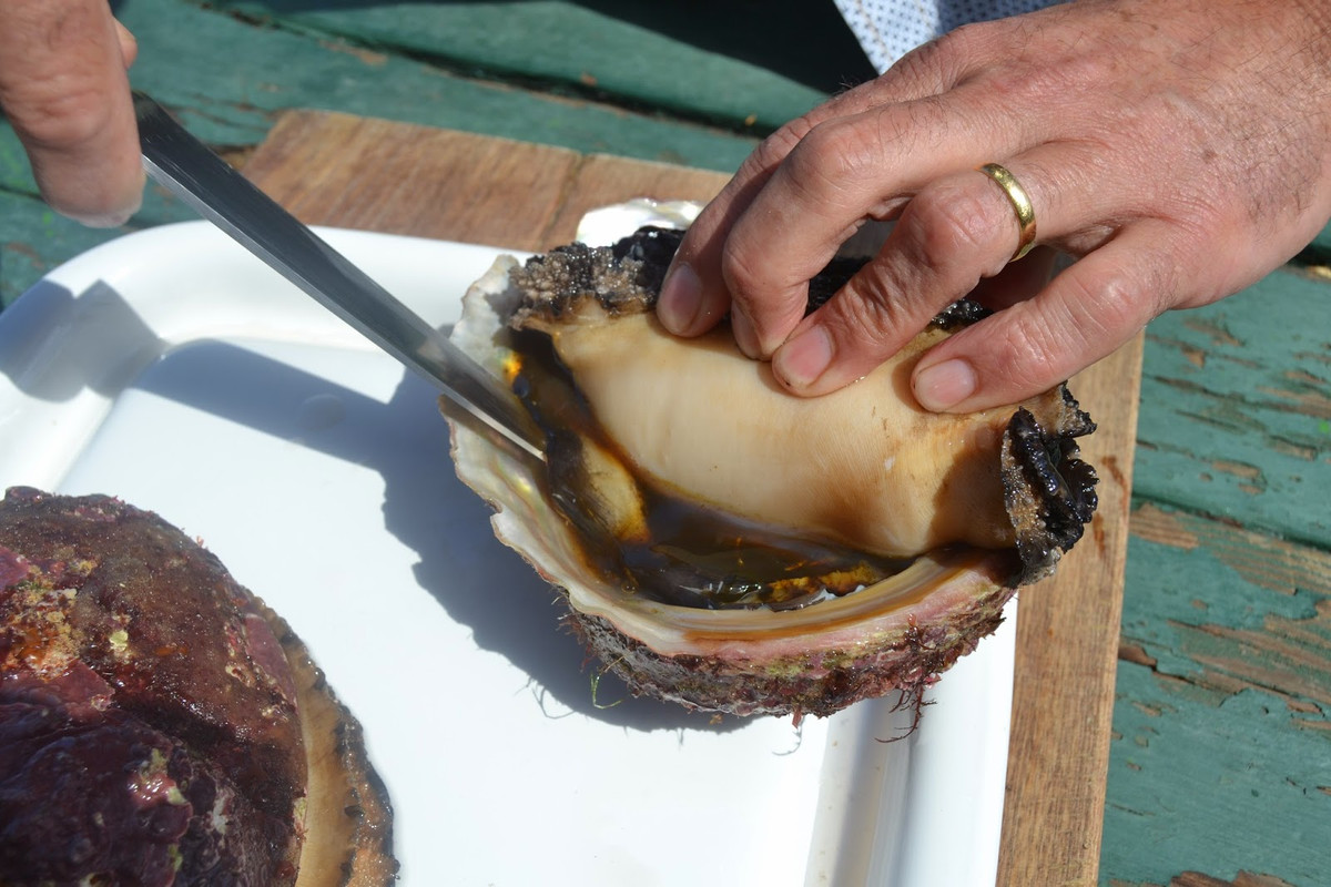 Một kg bào ngư môi nâu có thể lên tới 500 USD. Nếu tách phần vỏ và chỉ lấy thịt, chúng có giá 2.000 USD/kg (hơn 47 triệu đồng/kg thịt).