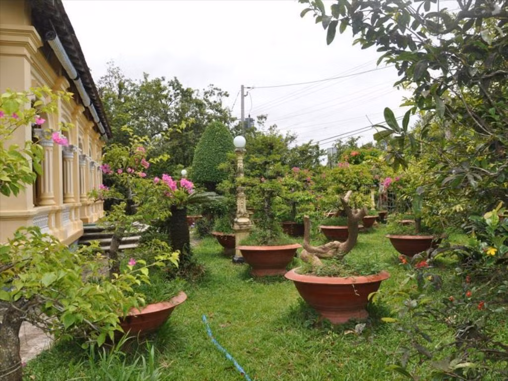 Ngôi nhà nằm lọt thỏm giữa khuôn viên rộng lớn, được bao quanh bởi vườn cây cảnh và vườn cây ăn trái. Ảnh: Mia