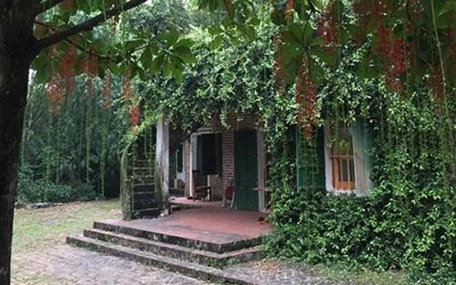 Ngoài căn biệt thự này, gia đình nghệ sĩ Chiều Xuân còn sở hữu nhà vườn rộng đến 1.000m2 ở ngoại thành Hà Nội.