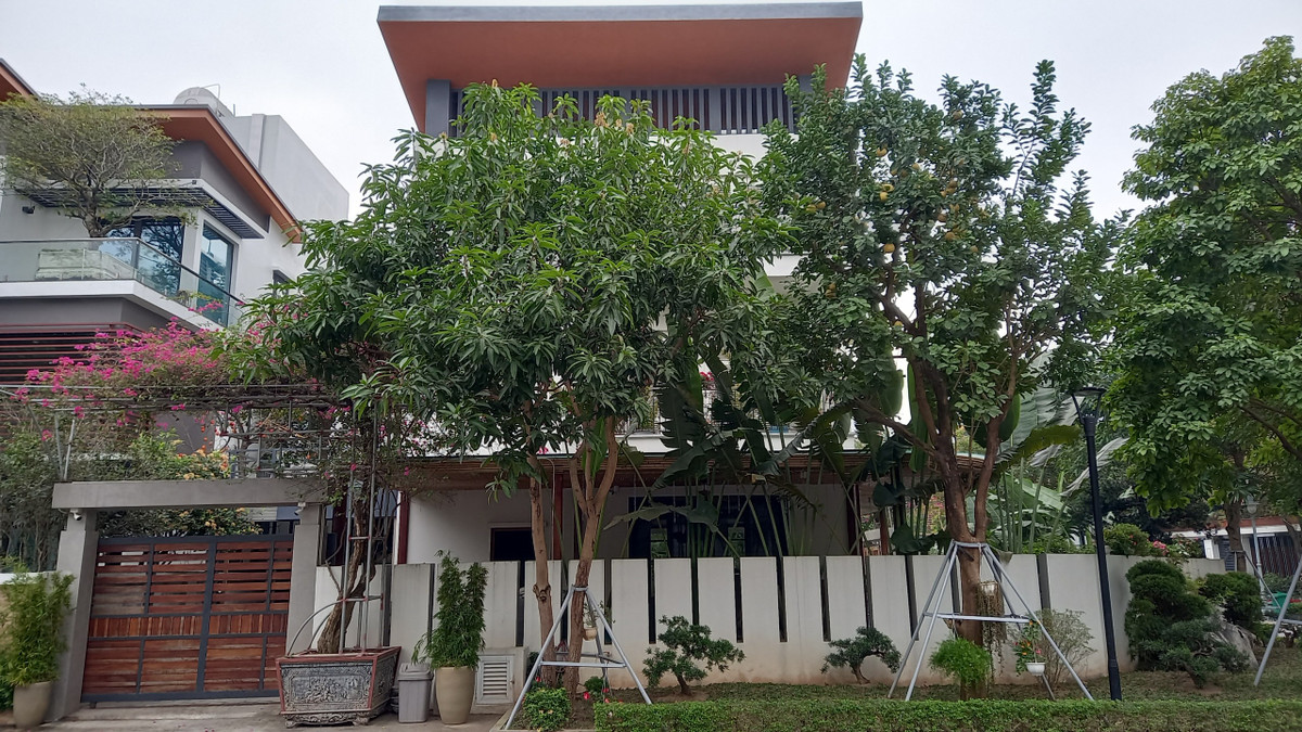 Đáp ứng mong muốn đó, kiến trúc sư thiết kế mặt tiền nhà gồm nhiều lớp cây xanh, những cây thân cao, lớn bên ngoài...như một lớp lọc không khí quanh nhà và tạo cho ngôi nhà một sự trong lành.