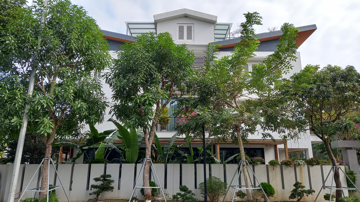 Toạ lạc tại phường Trần Phú (quận Hoàng Mai, Hà Nội), biệt thự Phi Long là món quà của người cha dành tặng cho con trai. Gia chủ mong muốn nơi ở được che chở bởi không gian xanh và nội thất theo phong cách cổ điển sáng tạo.