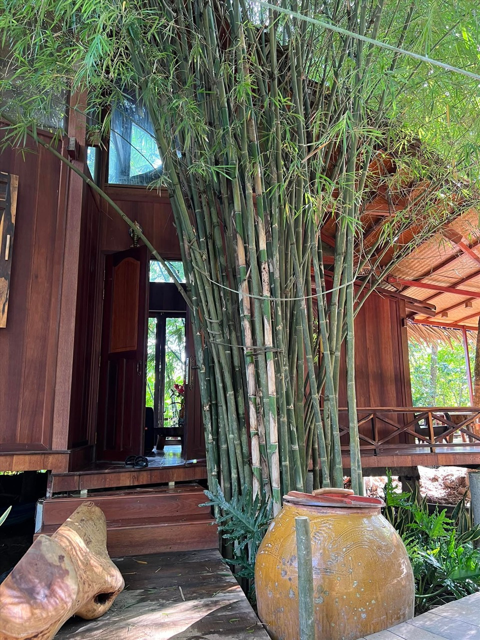 Trước mỗi khu nghỉ dưỡng đều có hàng tre xanh mát.