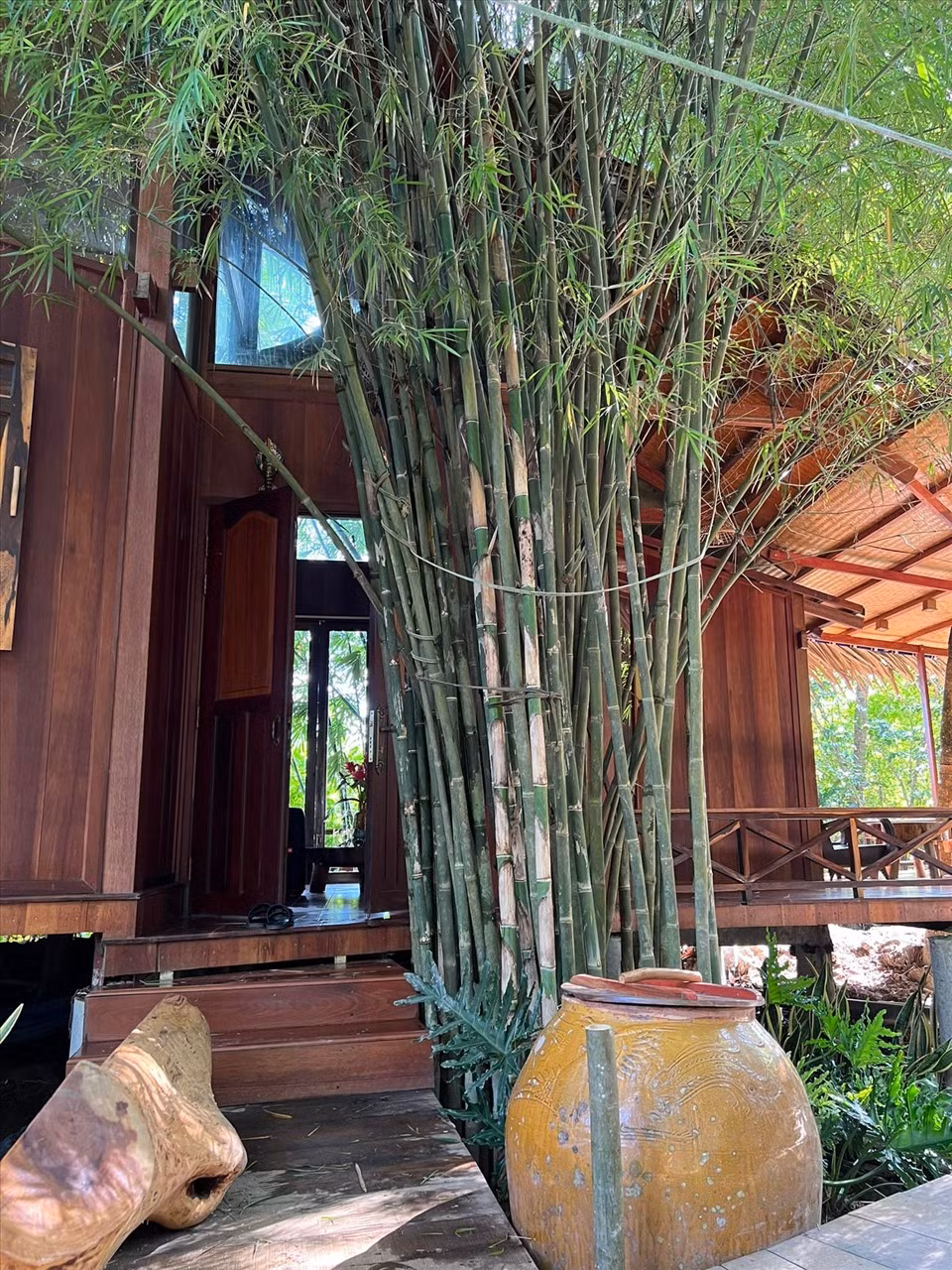 Trước mỗi khu nghỉ dưỡng đều có hàng tre xanh mát.