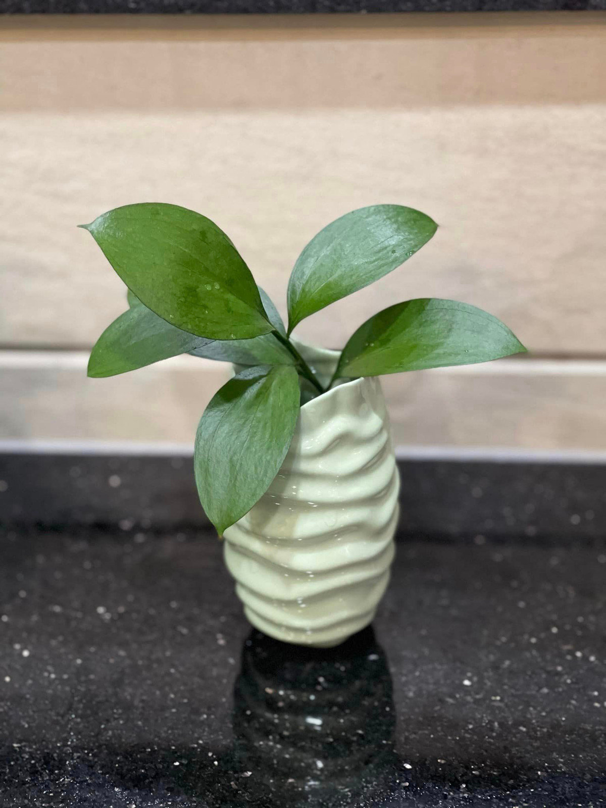 Chỉ một cành cây nhỏ cũng đủ tô điểm không gian nhà thêm xinh xắn.