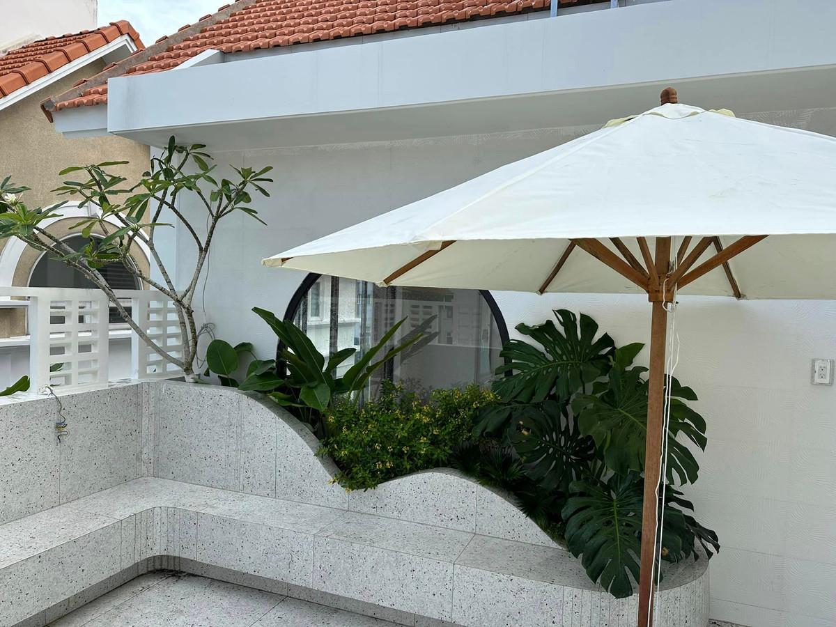 Vân Trang sắm ô che nắng cho Mostera trên sân thượng. Nguồn ảnh: FBNV