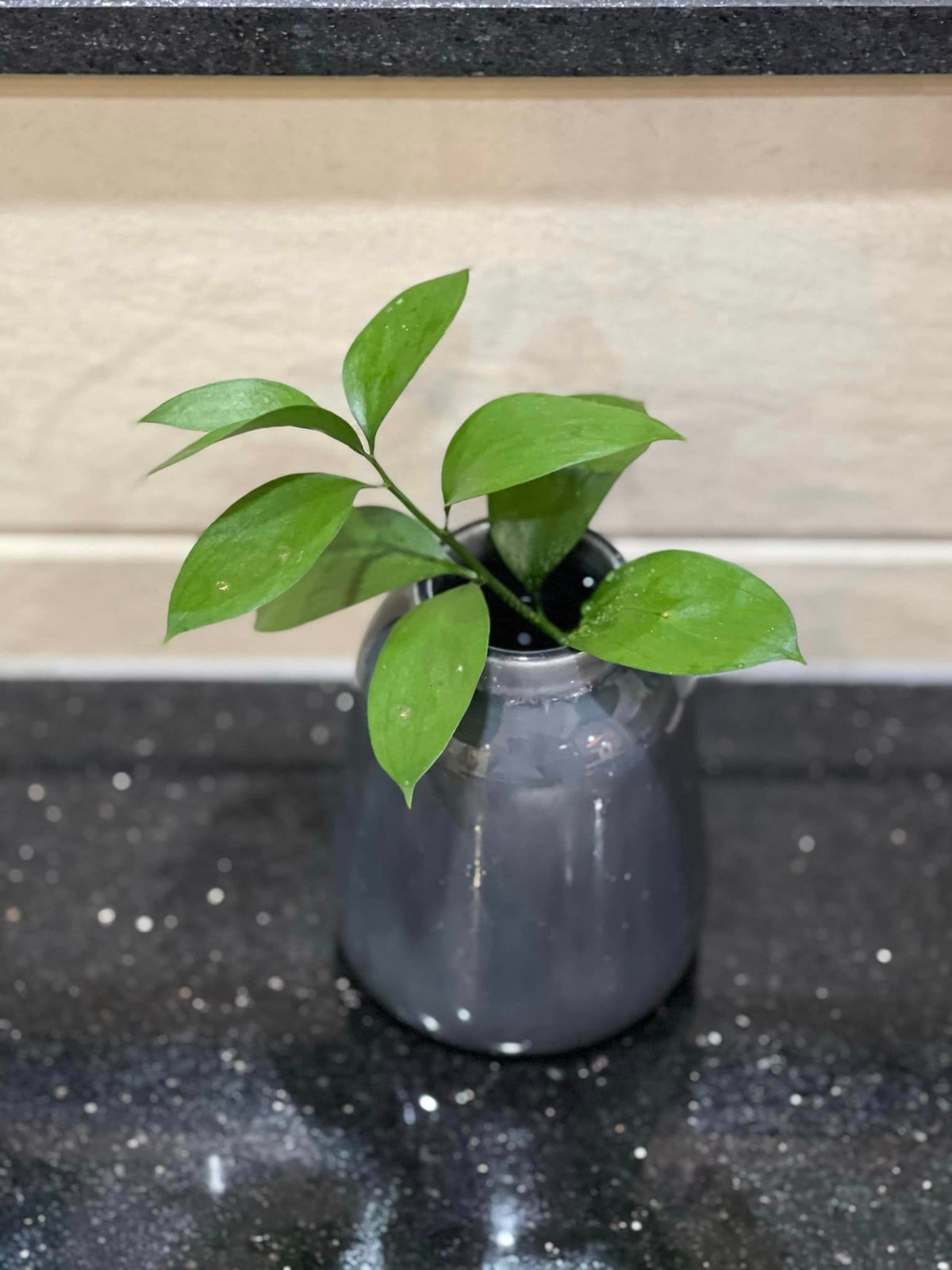 Ngoài bình hoa, nữ diễn viên Vân Trang còn trang trí những lọ cắm cây xanh làm không gian thêm tươi mát, tràn đầy sức sống.