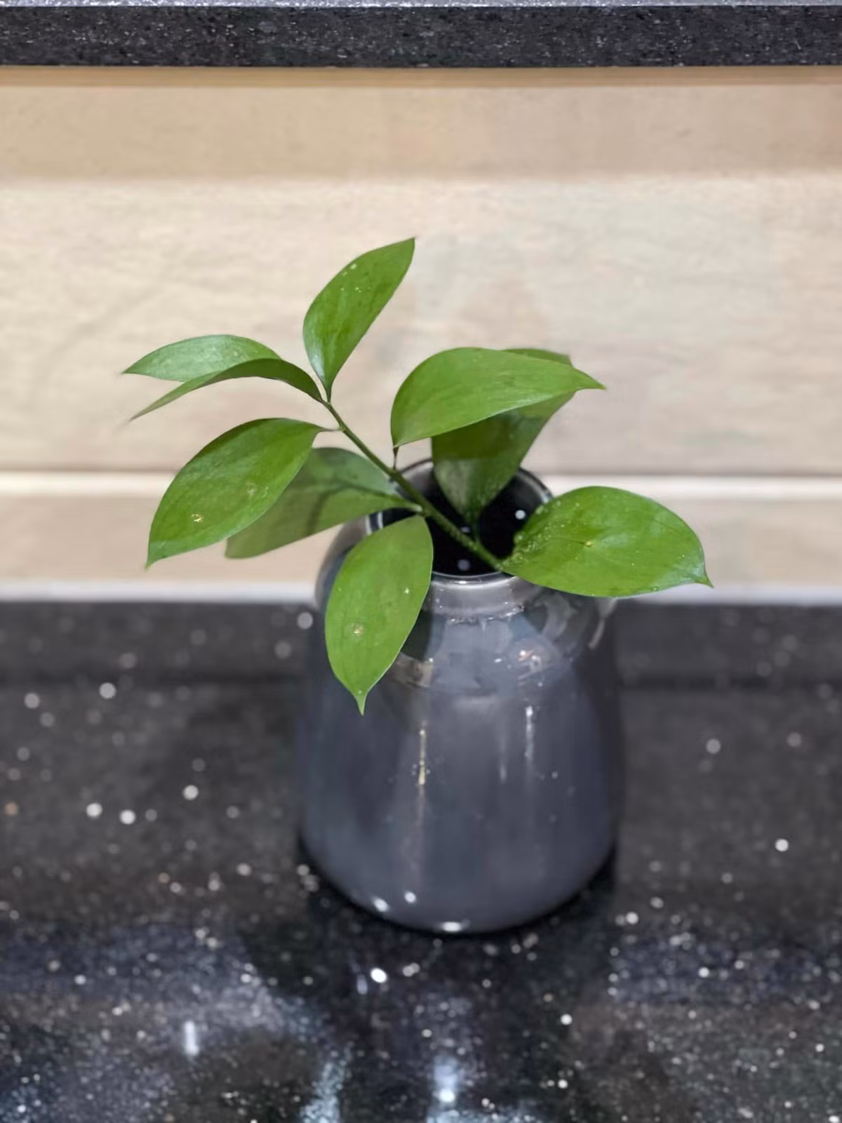 Ngoài bình hoa, nữ diễn viên Vân Trang còn trang trí những lọ cắm cây xanh làm không gian thêm tươi mát, tràn đầy sức sống.