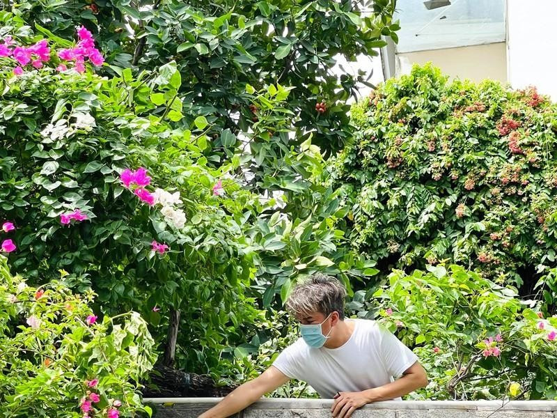 Xung quanh biệt thự của Đàm Vĩnh Hưng có rất nhiều loại hoa đua nhau khoe sắc.