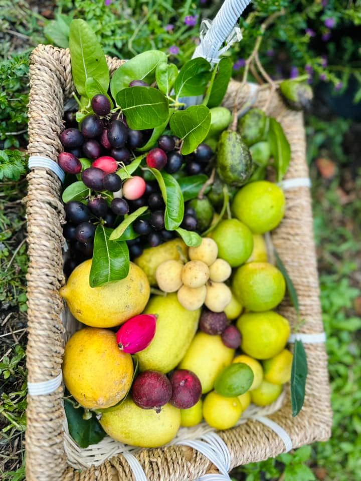 Thành quả thu hoạch được trong khu vườn của Mỹ Lệ. Nguồn ảnh; FBNV