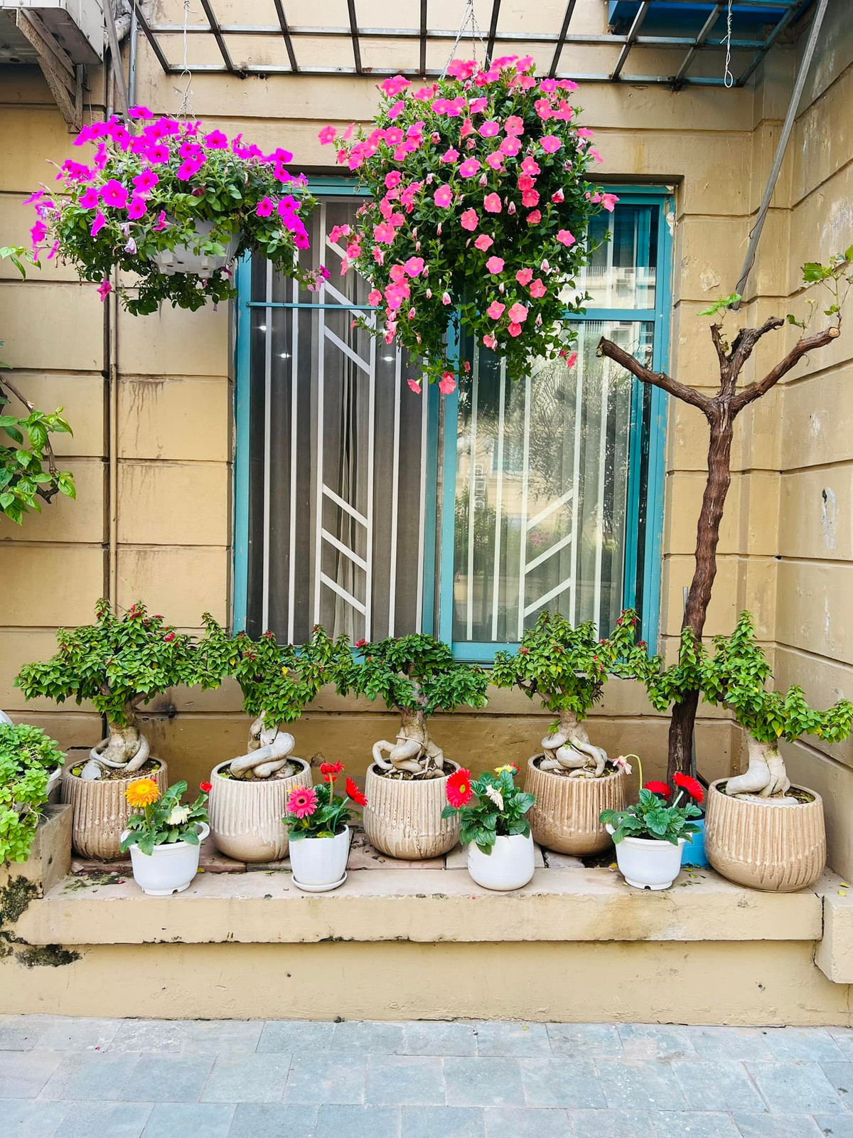 Căn nhà nằm trong một khu đô thị sang trọng, điều kiện an ninh nghiêm ngặt.