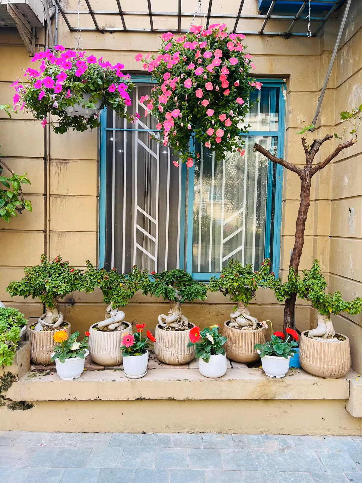 Căn nhà nằm trong một khu đô thị sang trọng, điều kiện an ninh nghiêm ngặt.