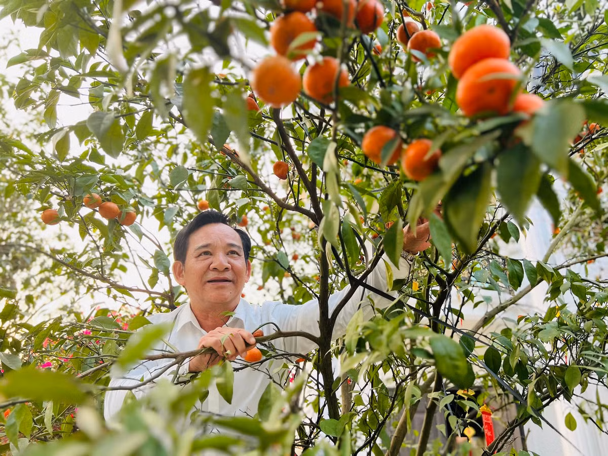 Sân vườn rộng rãi, thoáng đãng trồng đủ các loại cây cảnh, cây ăn quả và hoa.