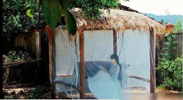 Theo thống kê của QQ, đến nay kênh YouTube của Lý Tử Thất mang về hơn 785.000 NDT (gần 2,7 tỷ đồng) mỗi tháng. Sở hữu khối tài sản khủng nhưng Lý Tử Thất vẫn sống trong ngôi nhà thơ ấu của mình.