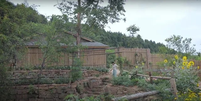 Hàng rào của sân không phải bằng gạch mà bằng tre và gỗ, do Lý Tử Thất tự tay làm.