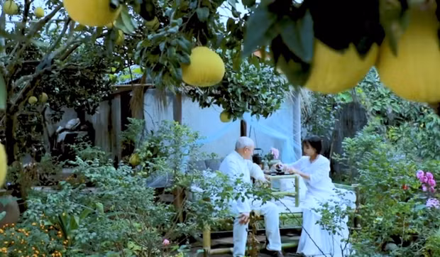 Vườn cây trĩu quả trông thích mắt.