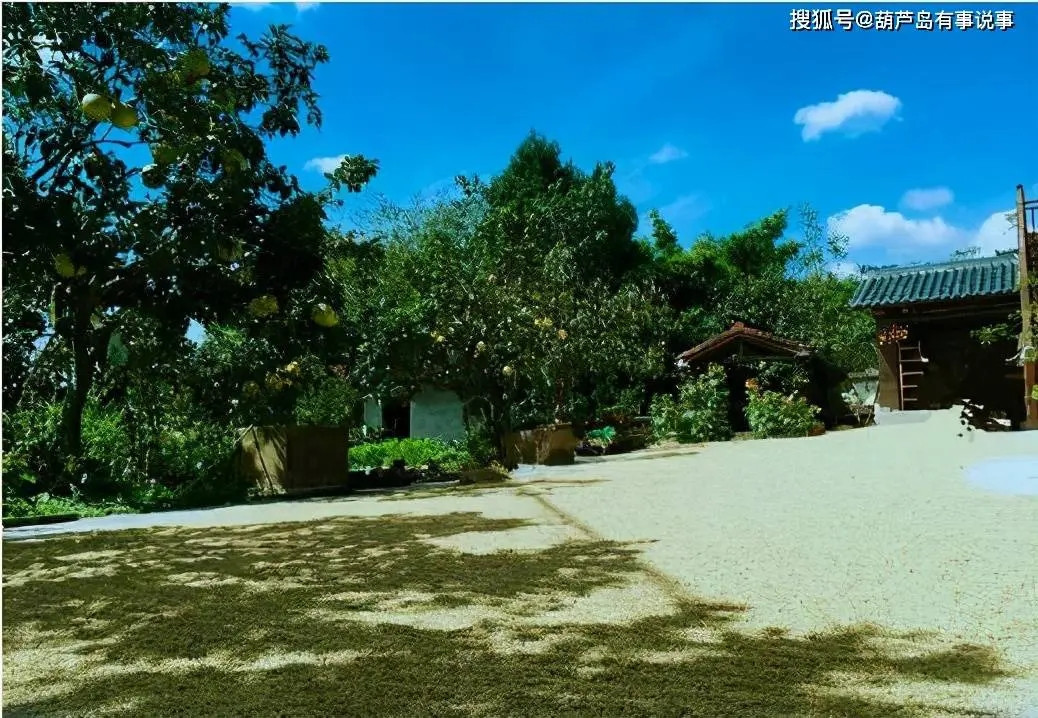 Bên trong là một khu vườn lớn, trồng đầy rau củ quả.