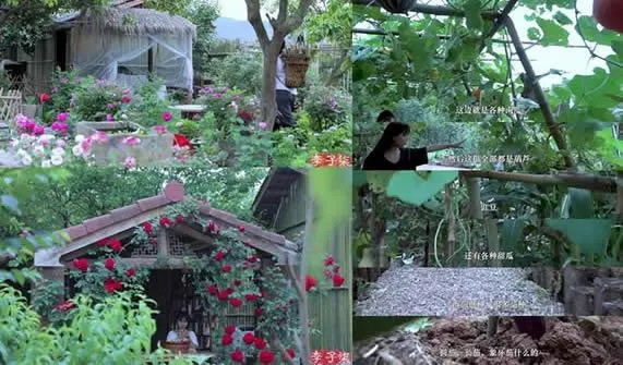 Khu vườn đầy hoa và rau xanh mướt mắt khiến ai nấy đều xuýt xoa.