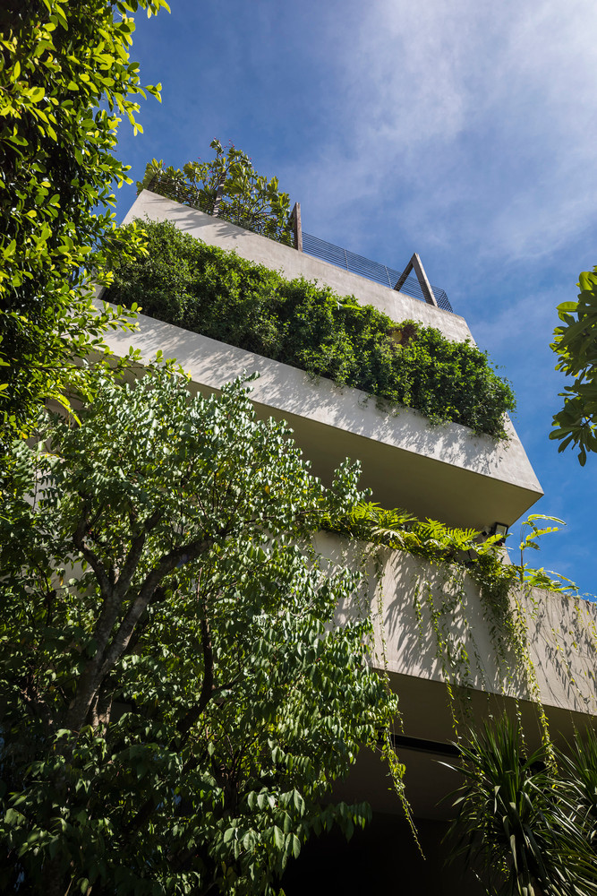  Ngôi nhà dường như được chạm khắc từ một khối bê tông nguyên khối ẩn sau lớp thảm thực vật với cây xanh trải dài từ tầng một lên đến sân thượng.
