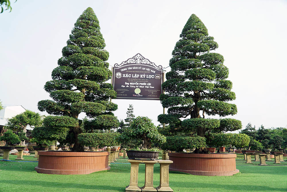 Anh Nguyễn Phước Lộc ở ấp Khánh Nhơn, xã Tân Khánh Đông, TP Sa Đéc (Đồng Tháp) được nhiều người biết đến khi sở hữu cặp me cổ nhất Việt Nam. Ảnh: Vietnamnet